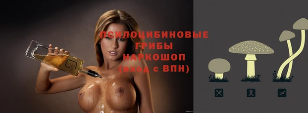 ECSTASY Абдулино